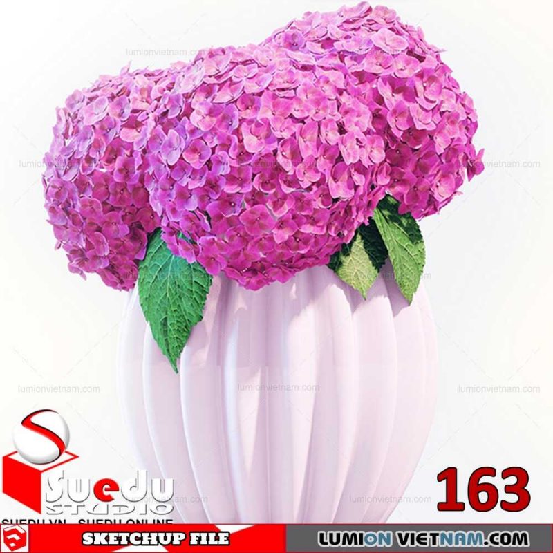 Plant By Suedu Sketchup Model