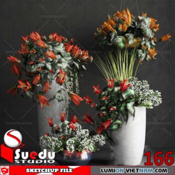 Plant By Suedu Sketchup Model