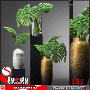 Plant By Suedu Sketchup Model
