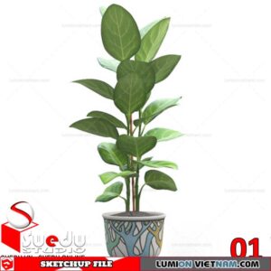 Plant By Suedu Sketchup Model