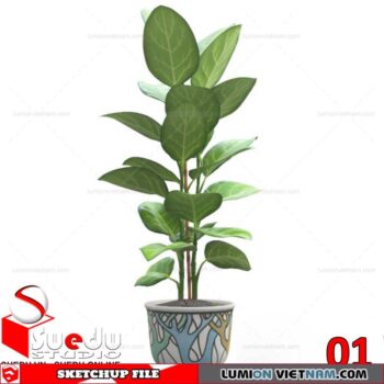 Plant By Suedu Sketchup Model