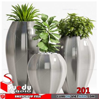 Plant By Suedu Sketchup Model