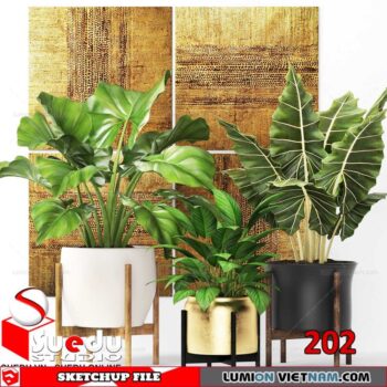 Plant By Suedu Sketchup Model