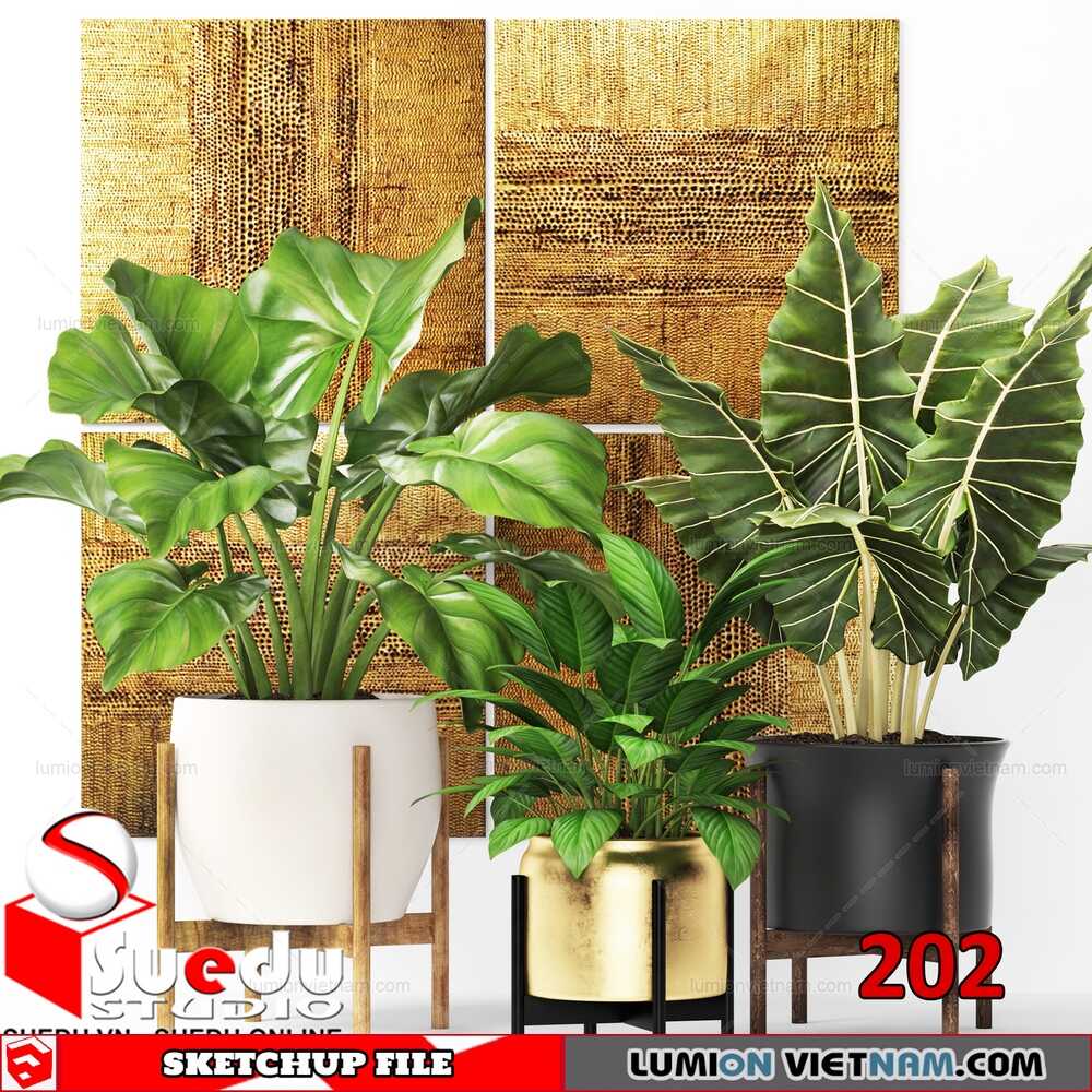 Plant-(21)-Sketchup-Models