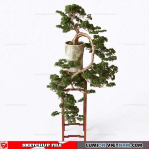 Plant By Suedu Sketchup Model