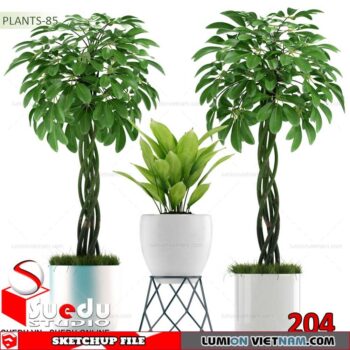Plant By Suedu Sketchup Model