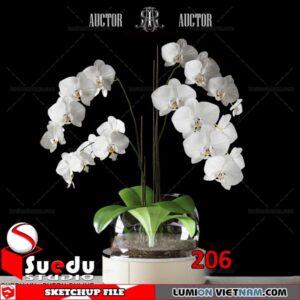 Plant By Suedu Sketchup Model