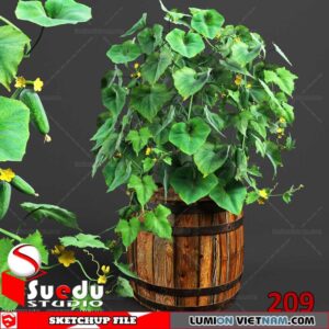 Plant By Suedu Sketchup Model