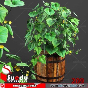 Plant By Suedu Sketchup Model