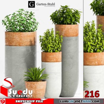 Plant By Suedu Sketchup Model