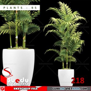 Plant By Suedu Sketchup Model