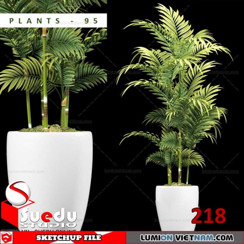 Plant By Suedu Sketchup Model