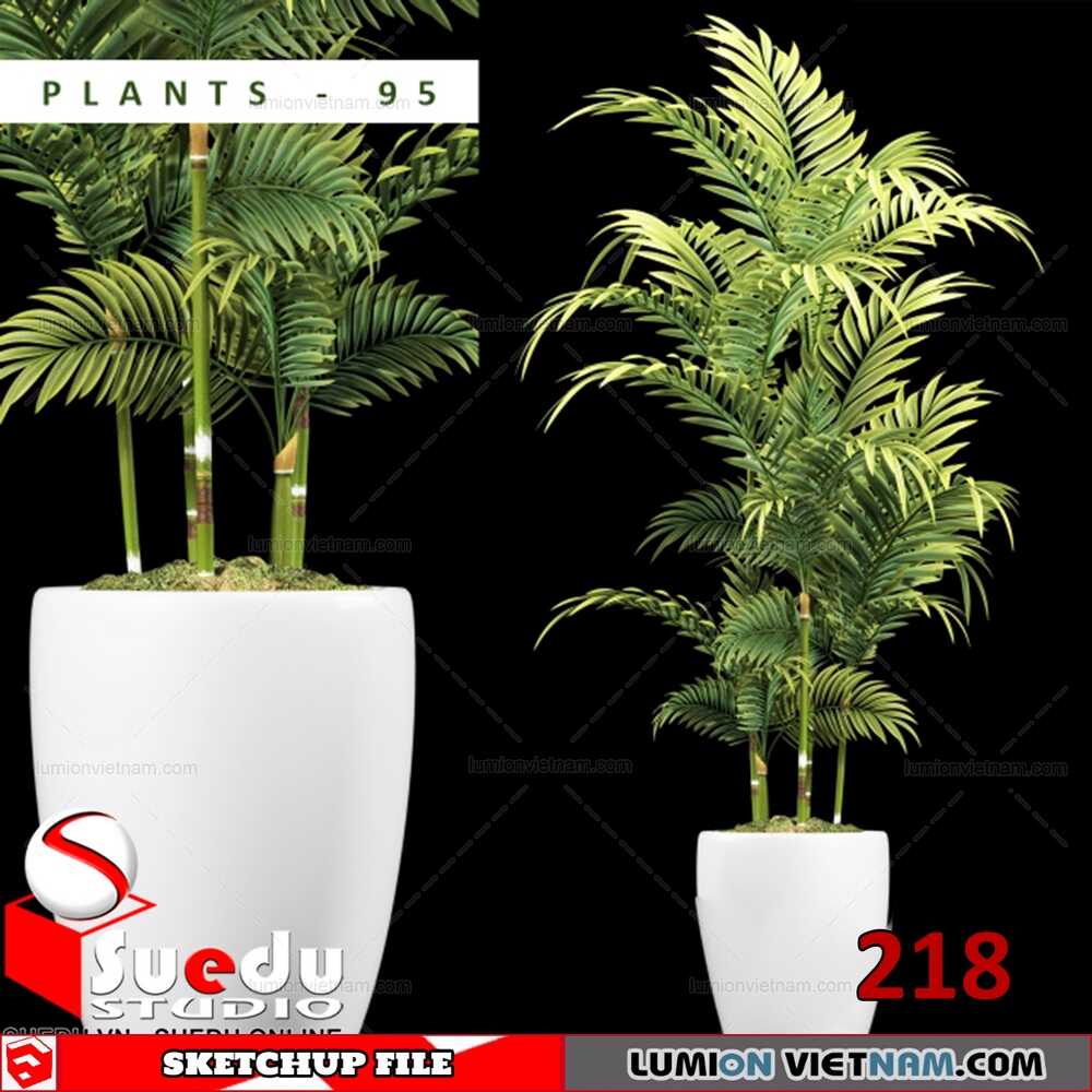 Plant-(35)-Sketchup-Models