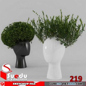 Plant By Suedu Sketchup Model