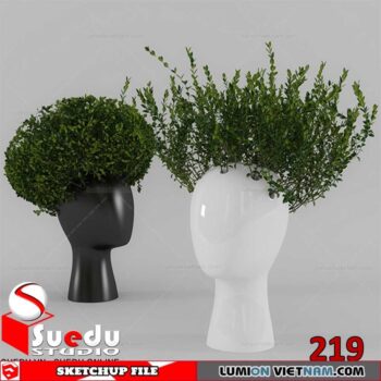 Plant By Suedu Sketchup Model
