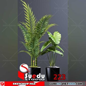 Plant By Suedu Sketchup Model