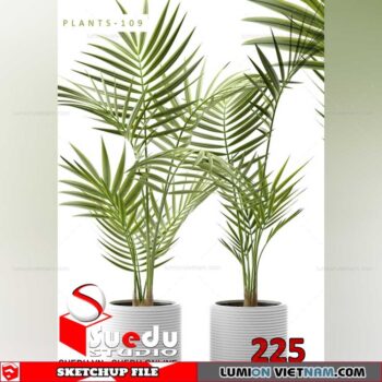 Plant By Suedu Sketchup Model