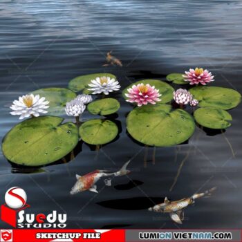 Plant By Suedu Sketchup Model