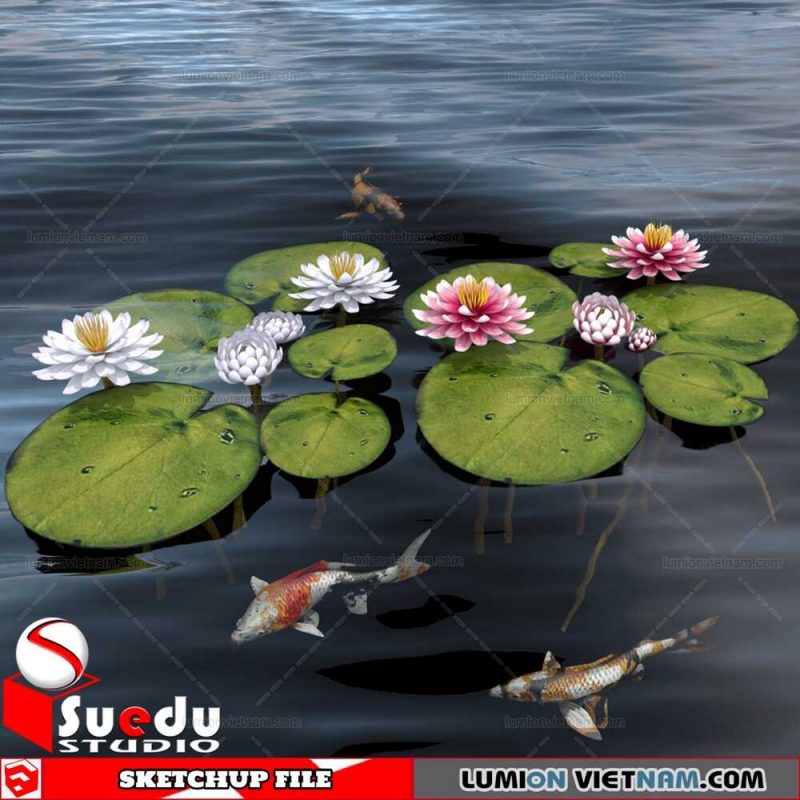 Plant By Suedu Sketchup Model