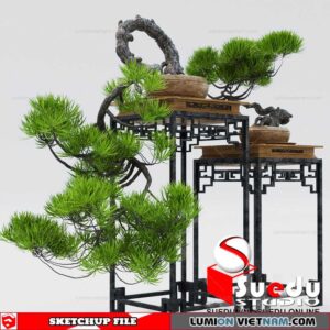 Plant By Suedu Sketchup Model
