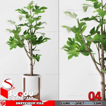 Plant By Suedu Sketchup Model