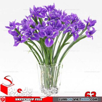 Plant By Suedu Sketchup Model