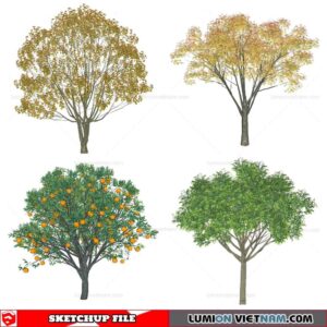 Tree - Sketchup Models