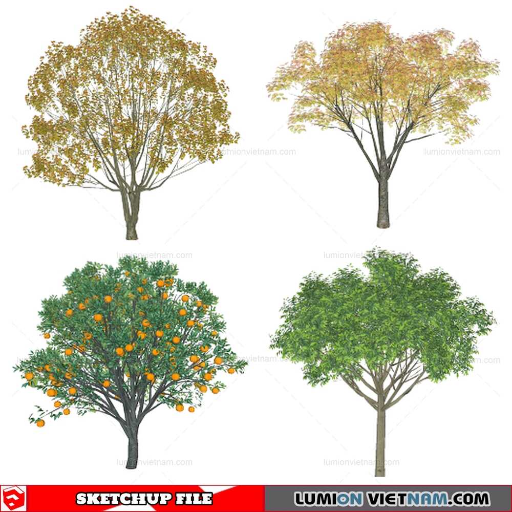 140821-Tree-(1)-Sketchup-Models