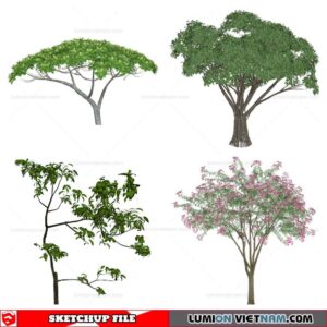 Tree - Sketchup Models