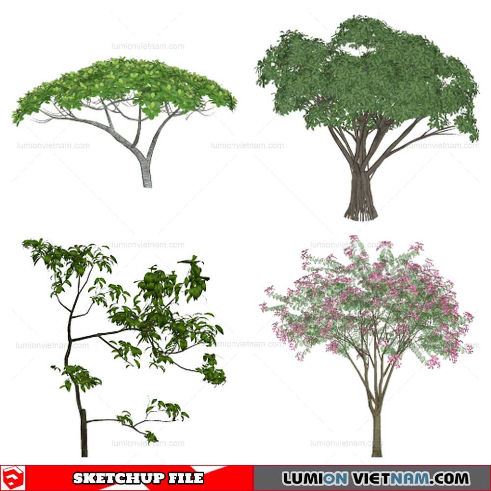 140821-Tree-(3)-Sketchup-Models
