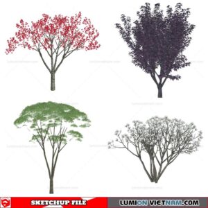 Tree - Sketchup Models