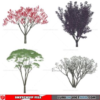 Tree - Sketchup Models