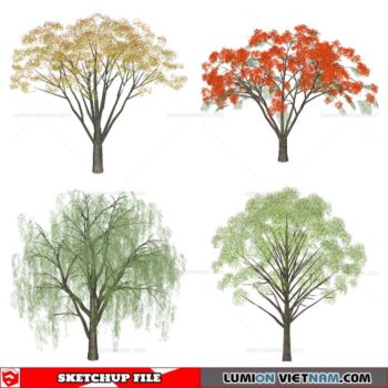 Tree - Sketchup Models