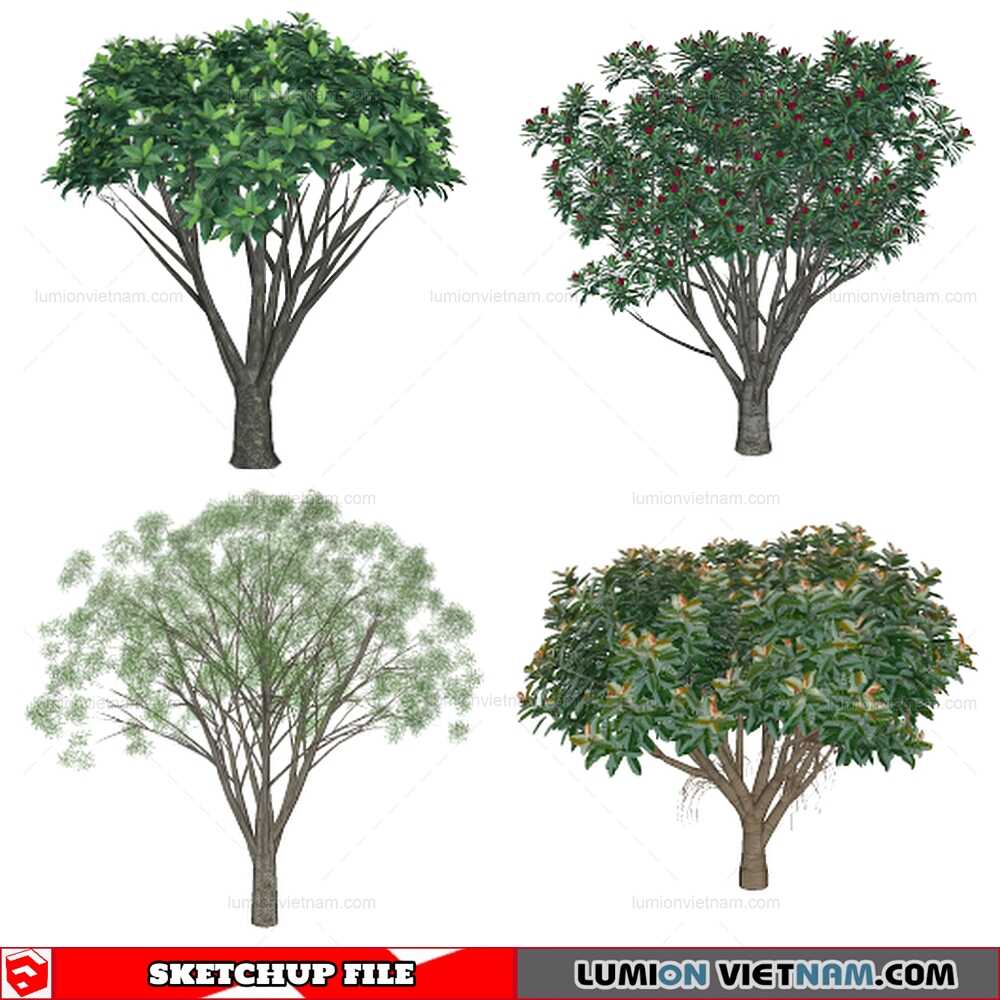 140821-Tree-(6)-Sketchup-Models