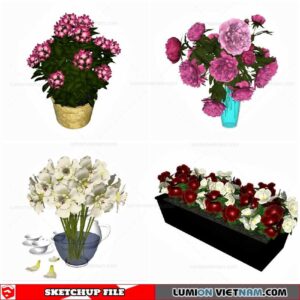 Flower Vase - Sketchup Models By Cuong Covua