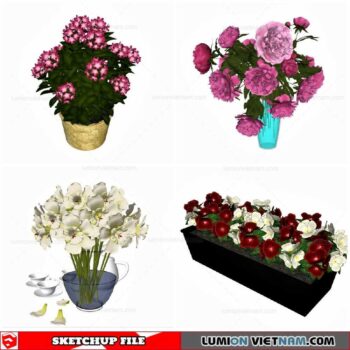 Flower Vase - Sketchup Models By Cuong Covua