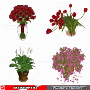 Flower Vase - Sketchup Models By Cuong Covua