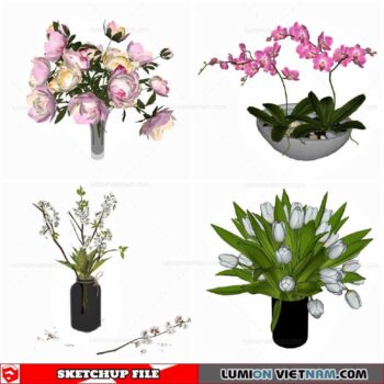 Flower Vase - Sketchup Models By Cuong Covua