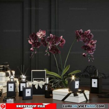 Decor Vases - Sketchup Models By To Tien Vu