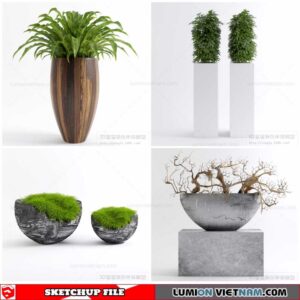 Plant Pots - Sketchup Models