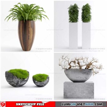 Plant Pots - Sketchup Models