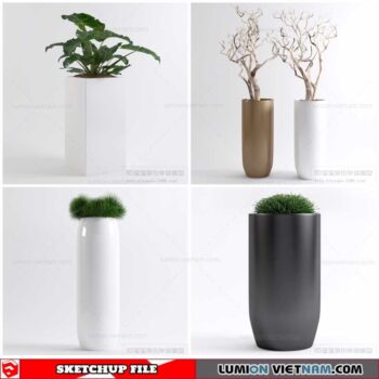 Plant Pots - Sketchup Models