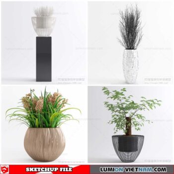 Plant Pots - Sketchup Models