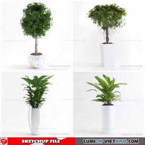 Plant Pots - Sketchup Models