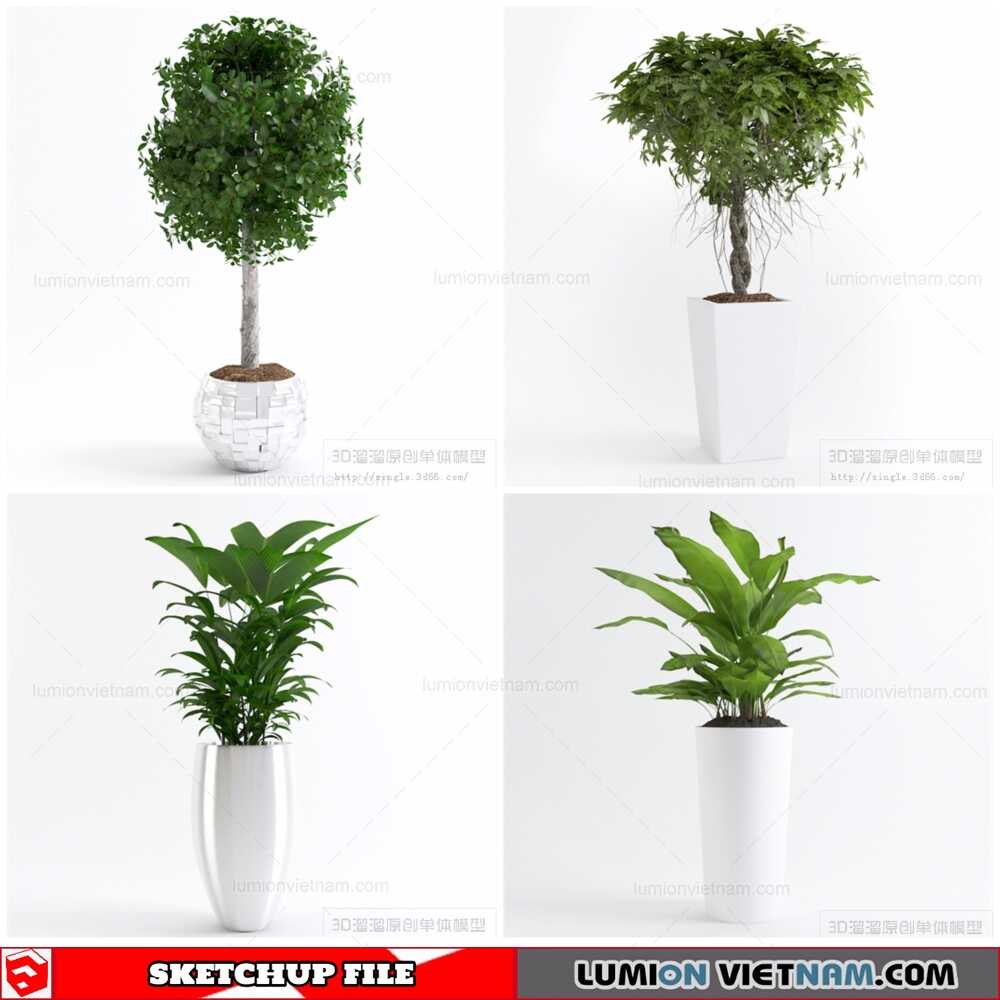 021021-Plant-Pots-(4)-Sketchup-Models