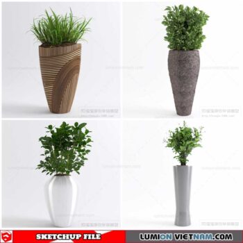 Plant Pots - Sketchup Models