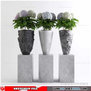Plant Pots - Sketchup Models