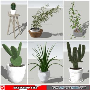 Plant Pots - Sketchup Models By Nha Tay