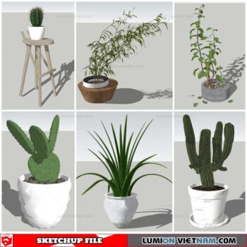 Plant Pots - Sketchup Models By Nha Tay