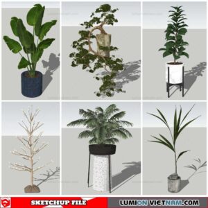 Plant Pots - Sketchup Models By Nha Tay